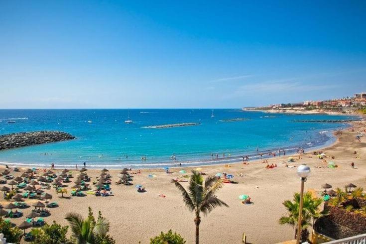 Amazing 3 Bedroom Apartment On The First Line Of The Best Las Americas Beach, Air Conditioner And Terrace Ocean View 美洲海滩 外观 照片